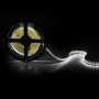 Bande de 204 LED/M 60W 5 000Lm CRI85 6000ºK SMD3014 12VDC IP20 x5M 40 000H [CA-3014-204-12W-IP20-CW] -Blanc Froid