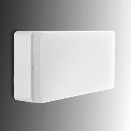 Éclairage de Secours à LED Esera 300Lm 1 Heure IP44