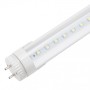 Tube LED T8 14W 1680Lm 6000ºK 90Cm Tête Rotative 60 000H [GR-T8RDDG14W-CW-O]