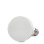 Ampoule LED E14 5W 328Lm R50 40 000H
