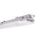 Réglette Luminaire étanche pour 2 tubes LED 60cm - IP65