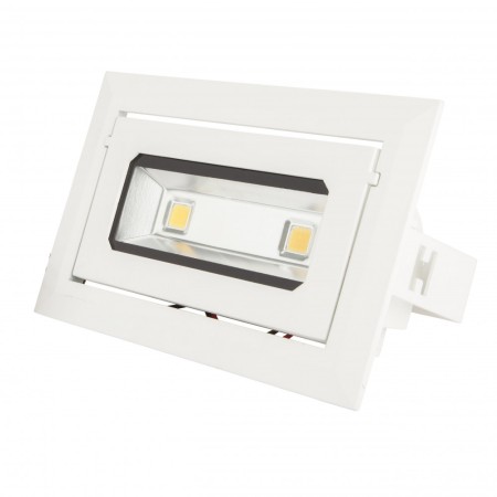 Spot Downlight LED 20W 1 800Lm 6000ºK Rectangulaire Inclinable 40 000H [HO-DRECTBAS-20W-CW]