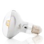 Ampoule LED E27 6W 360Lm 2000ºK Filament 40 000H [JK-R8006-WW]