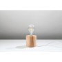 Lampe De Table Salgado [SOL-SL.0674]