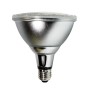 Ampoule LED PAR38 E27 12W IP65