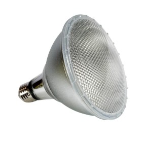 Ampoule LED PAR38 E27 12W IP65