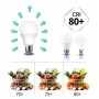 Ampoule LED E27 13W A60 LEDVANCE