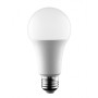 Ampoule LED E27 15W A65 1400 lumens