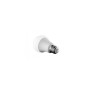 Ampoule LED E27 15W A65 1400 lumens