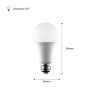 Ampoule LED E27 15W A65 1400 lumens