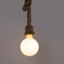 Ampoule LED globe décorative "Milky" - E27 G125 - 6W - Blanc chaud 3000K
