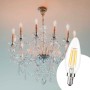 Ampoule LED E14 5W Filament "Clear"