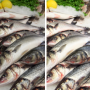Spot LED triphasé 30W spécial poissons et fruits de mer