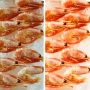 Spot LED triphasé 30W spécial poissons et fruits de mer
