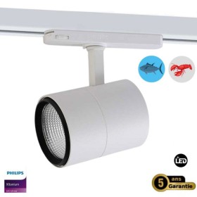 Spot LED triphasé 30W spécial poissons et fruits de mer