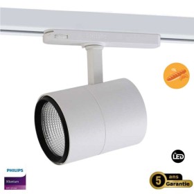 Spot LED triphasé de 30W spécialement conçu pour les boulangeries