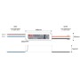 Alimentation LED étanche 24V DC - 50W - IP67 - GLP