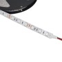 Ruban LED Ultra Violet 12V SMD 5050 5M