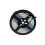 Ruban LED intelligent IC RGB - 7,2 W/m - Largeur 10mm - IP67 - 5 mètres