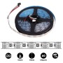 Ruban LED intelligent IC RGB 12V DC - 14,4 W/m -IP20 - 60 LED/m - Largeur 10mm - 5 mètres
