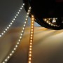 Ruban LED 24V DC - 18W/m - Monochrome - 10mm - IP20 - Rouleau de 5 mètres - 120ch/m