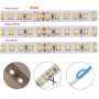 Ruban LED 24V DC - 18W/m - Monochrome - 10mm - IP20 - Rouleau de 5 mètres - 120ch/m