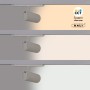 Projecteur LED pour rail triphasé 20W - CCT réglable sur 3 températures différentes de 3000-6000ºK - CRI90 - 1900 lm