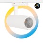 Projecteur LED pour rail triphasé 15W - CCT réglable sur 3 températures différentes de 3000-6000ºK - CRI90 - 1350 lm