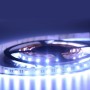 Ruban LED 24V DC 96W 12mm RGBW IP20 (SMD5050) Rouleau de 5 mètres