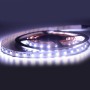 Ruban LED 24V DC 96W 12mm RGBW IP20 (SMD5050) Rouleau de 5 mètres