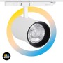 Spot LED architectural pour rail triphasé - CCT réglable sur 3 températures différentes de 3000-6000ºK - 40W CRI 90 - KGP Driver