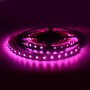 Ruban LED 24V DC 96W RGBWW IP20 (SMD5050) Rouleau de 5 mètres