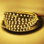 Ruban LED LINE 24V DC 9,6W/m largeur 5mm monochrome IP20 Rouleau de 5 mètres