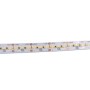 Ruban LED 24V DC 26W/m IRC90 monochrome IP20 Rouleau de 5 mètres