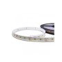 Ruban LED 24V DC - Monochrome - 18W/m - 12mm - IP67 - 5 mètres - 120ch/m