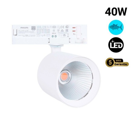 Spot LED 40W pour rail triphasé - Poissons et fruits de mer - Driver Philips Xitanium