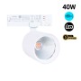 Spot LED 40W pour rail triphasé - Poissons et fruits de mer - Driver Philips Xitanium