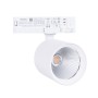 Spot LED 40W pour rail triphasé - Poissons et fruits de mer - Driver Philips Xitanium