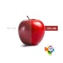 Spot LED 40W sur rail triphasé - Spécial Fruits et légumes - Driver Philips Xitanium