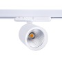 Spot LED 40W sur rail triphasé - Spécial Fruits et légumes - Driver Philips Xitanium