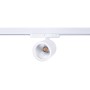 Spot LED 40W sur rail triphasé - Spécial Fruits et légumes - Driver Philips Xitanium