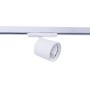Spot LED 40W sur rail triphasé - Spécial Fruits et légumes - Driver Philips Xitanium