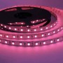 Ruban LED RGB 24V DC SMD 5050 72W IP20 5M