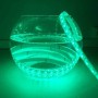 Ruban LED RGB 24V IP67 SMD 5050 72W 5M