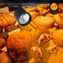 Spot LED 40W sur rail monophasé - Spécial Boulangeries