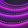 Ruban LED 24V DC 120W RGB IP20 SMD3535 PCB 12mm Rouleau 5 mètres
