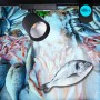 Spot LED 40W sur rail monophasé - Spécial Poissons et fruits de mer