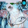 Spot LED 40W sur rail monophasé - Spécial Poissons et fruits de mer