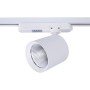 Spot LED 40W sur rail monophasé - Spécial Poissons et fruits de mer