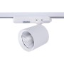 Spot LED 40W sur rail monophasé - Spécial Boucheries